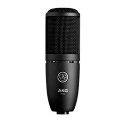 AKG P120 High-Performance General Purpose Recording Microphone