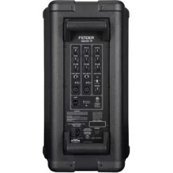 Fender Fighter 10 Inch 2-Way 1100 Watt Powered Speaker - 120V -Microphone Shop FEN 6962000000 4